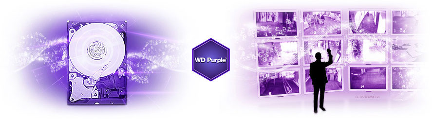 wdpurple